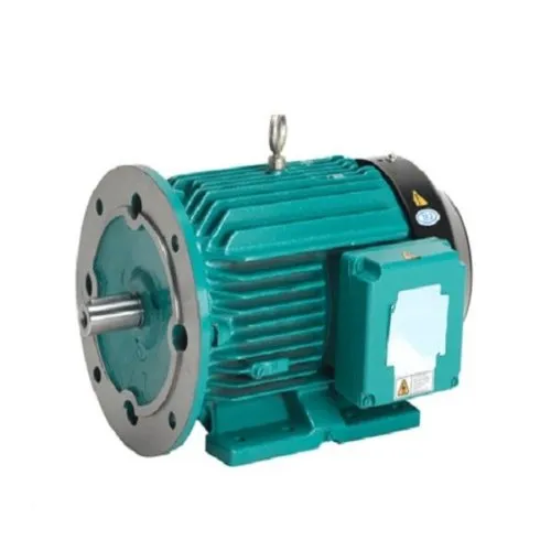 Crompton Greaves Three Phase AC Motor